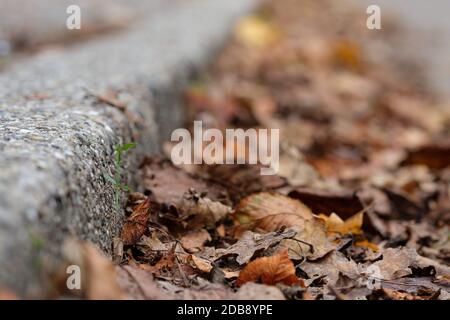 Leaves At A Curb Or Kerb Close Up Stock Photo Alamy
