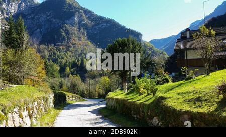 Small road on the dolomites immersed in natural landscape, Italy Stock Photo