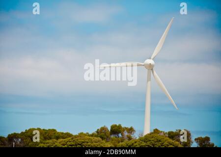 Wind turbine on Rottnest Island, Australia. Stock Photo