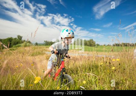 Toddler biking through tall grass, Langley, British Columbia, Canada Stock Photo