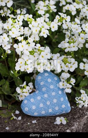 cute little fabric heart blue with white polka dots and tiny white garden flowers, perfect for a greeting card, gift bag or calendar Stock Photo