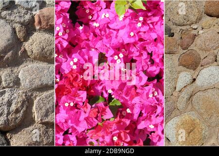 Different, beautiful textures in one collage Stock Photo