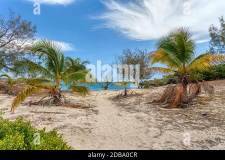 sand beach in Antsiranana with palms, Diego Suarez bay landscape, Madagascar beautiful pure nature with blue water, Africa wilderness Stock Photo