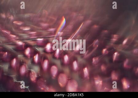 Pink light leaks Stock Photo - Alamy