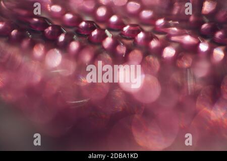 Pink light leaks Stock Photo