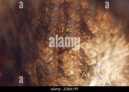 Gold light leaks Stock Photo
