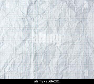 crumpled blank sheet of white paper in a cage from a school notebook, full frame Stock Photo