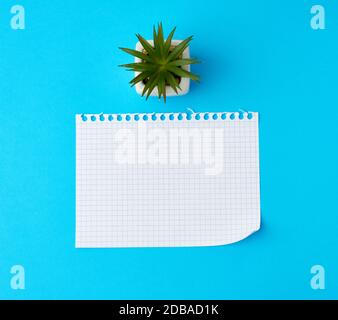 empty rectangular white sheet torn out of notepad on a blue background, top view Stock Photo