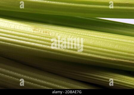 Close up on fresh celery Stock Photo