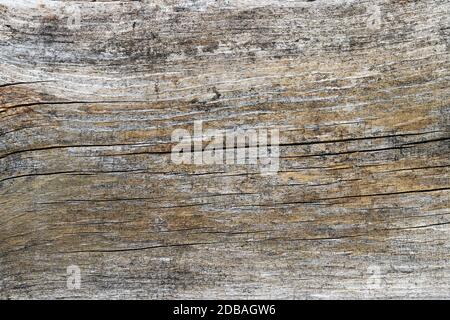 Wooden background - A yellow-grey old wooden board with grain Stock Photo