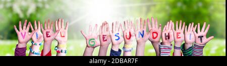 Kids Hands Holding Colorful German Word Viel Gesundheit Means Stay Healthy. Sunny Green Grass Meadow As Background Stock Photo
