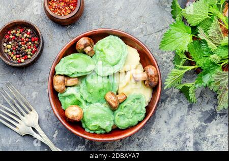 Appetizing Italian ravioli cooked with nettles and spinach Stock Photo