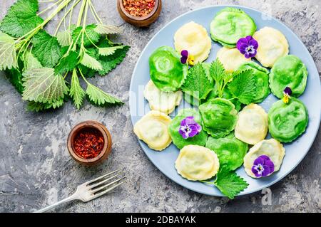 Appetizing Italian ravioli cooked with nettles and spinach Stock Photo