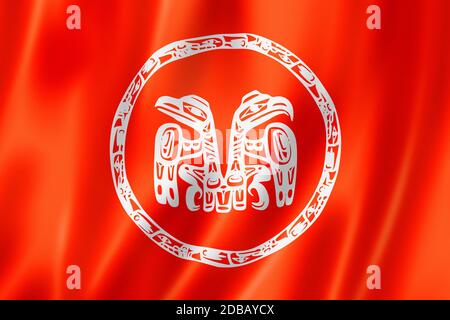 Haida people ethnic flag, Canada. 3D illustration Stock Photo