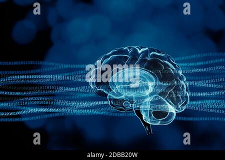 Abstract illustration of human brain Stock Photo