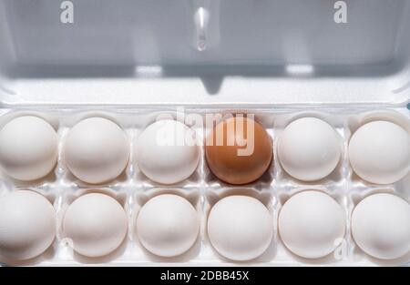 Twelve eggs in carton Stock Photo