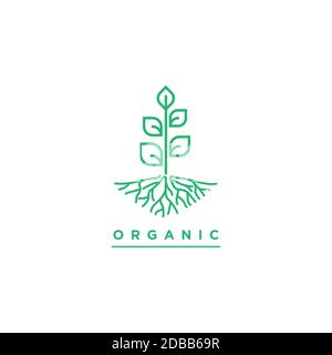 Plants illustration symbol vector template.Organic plant logo design Stock Vector
