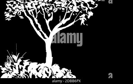 White tree silhouette isolated on black background. Sumi-e, u-sin, gohua painting style. Stylized Inked drawing. Hand drawn vector illustration. Stock Photo