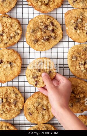 Close-up of girls ( 8-9) hand taking oatmeal cookie Stock Photo