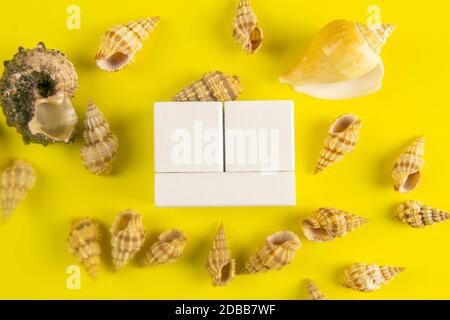 White wood cubes around the seashell isolated on a yellow background. It's lined up so you can fit in a quarter, month, and date. Front views. Stock Photo