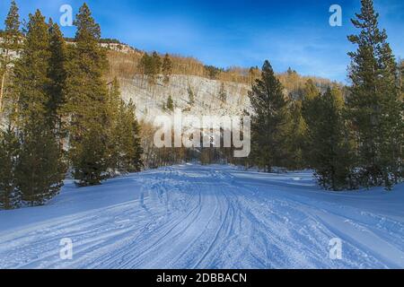 Several trails of snowmobile tracks in a state park in Aspen, Colorado. Stock Photo