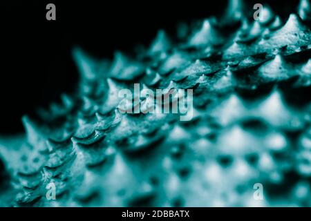 Electron Microscope image of Virus surface. Macro photo of a bold surface made to imitate a SEM image. Stock Photo