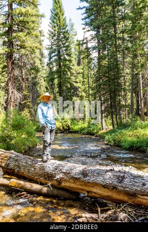 USA, Idaho, Sun Valley, Man standing on fallen tree over river in forest Stock Photo