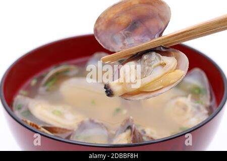 Japanese cuisine miso soup, asari clam held with chopstick isolated on white background Stock Photo