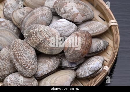 Japanese asari clams in a bamboo basket on wooden table Stock Photo