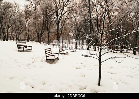 Winter landscape, Park benches covered with snow, after a heavy snowfall. The snow on the branches of trees and large drifts. Stock Photo