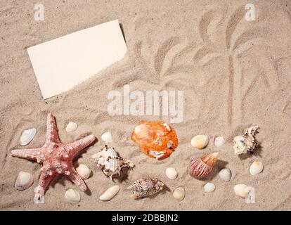 Beach wallpaper sand and shells. Summer background with starfish. Holiday card with copy space. Picture of palm trees on sand. Stock Photo