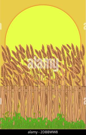 A crop field with a wooden fence and a large sunset Stock Photo - Alamy