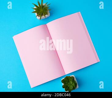 open notebook with blank pink pages on a blue background, top view, flat lay Stock Photo