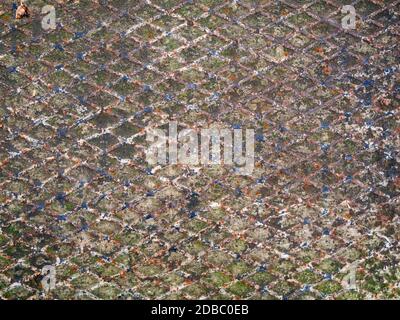 Full frame view of a rusty, worn and weathered floor plate with peeling paint. Stock Photo