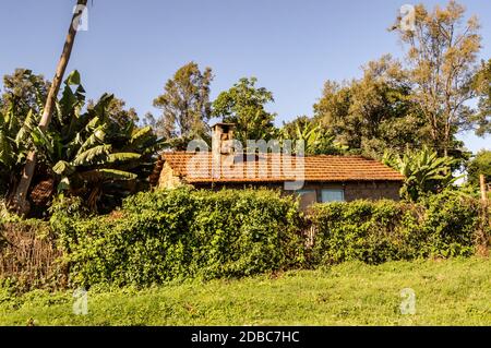 A cabin - Cottage - in the forest with surrounding greenery in an African village. along the road outside Tyka near Nairobi Kenya Stock Photo