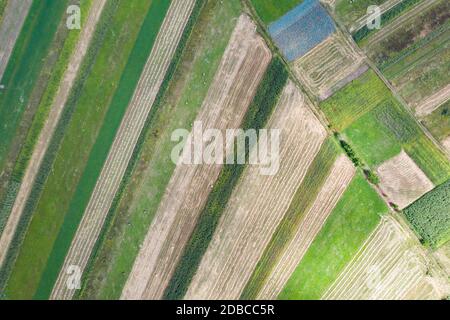 Aerial, drone view of endless lush pastures and farmlands with green fields and meadows. Stock Photo