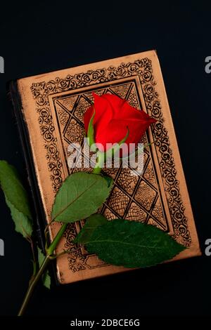 Red rose on vintage book isolated on dark background Stock Photo