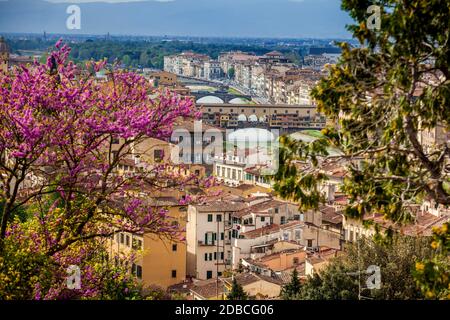 View of the beautiful city of Florence from the Giardino delle rose in an early spring day Stock Photo