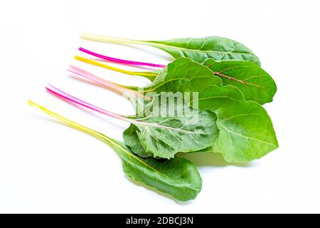 Fresh swiss chard on a white background Stock Photo