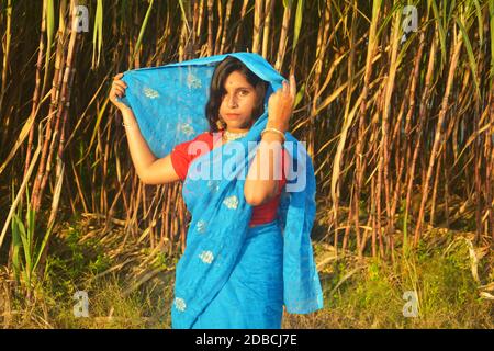 Blue Handloom Jamdani Cotton Saree | Musavvir Sakhi | Suta