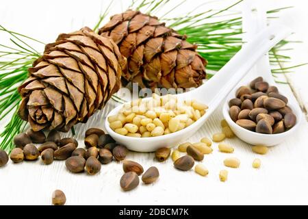 Cedar nuts in two spoons, two pinecones and green branches on a light wooden board background Stock Photo