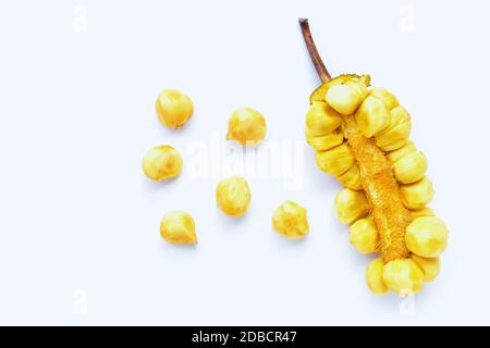 Champedak fruit on white background. Stock Photo