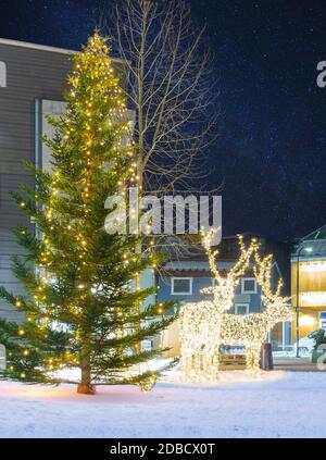 Christmas Tree and Christmas Deer Decorations in Tromso, Norway,