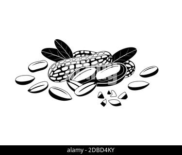 Peanut black Icon on white. Stock Vector