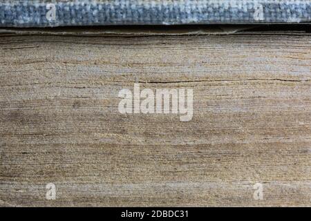 Macro of vintage book pages. Wisdom, education or book repair concept. Stock Photo
