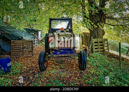 Worn out tractor placed in an autumn forest, Denmark Stock Photo