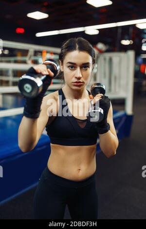 Woman doing exercise with dumbbells, box training, boxing ring on background. Female boxer in gym, girl kickboxer in sport club, kickboxing workout Stock Photo