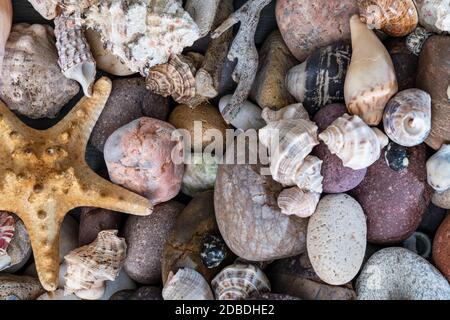many snails and stones in aerial photo Stock Photo