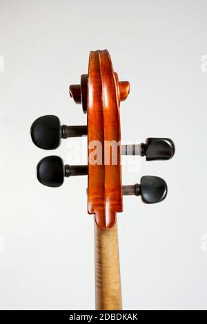 Old double bass head isolated on white background Stock Photo