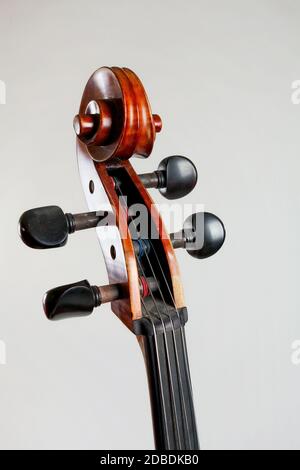 Old double bass head with strings isolated on white background Stock Photo